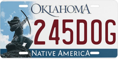 OK license plate 245DOG