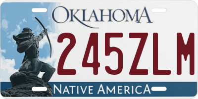 OK license plate 245ZLM