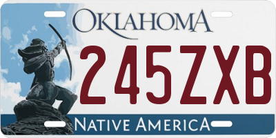 OK license plate 245ZXB