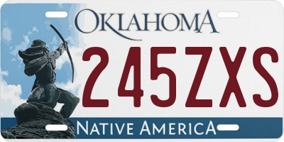 OK license plate 245ZXS