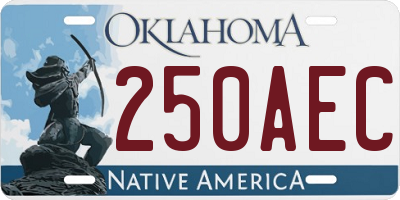 OK license plate 250AEC
