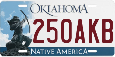 OK license plate 250AKB