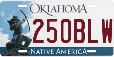 OK license plate 250BLW