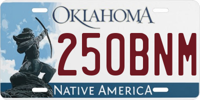 OK license plate 250BNM