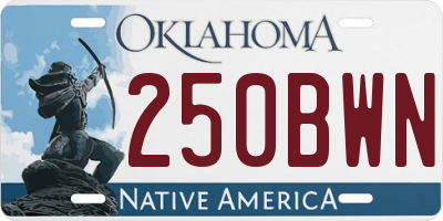 OK license plate 250BWN
