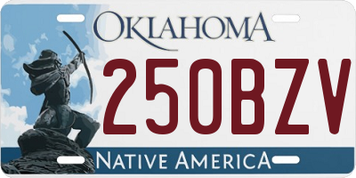 OK license plate 250BZV