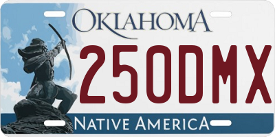 OK license plate 250DMX