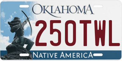 OK license plate 250TWL