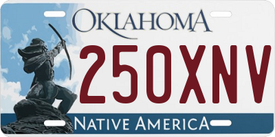 OK license plate 250XNV
