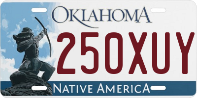 OK license plate 250XUY