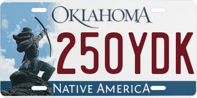 OK license plate 250YDK