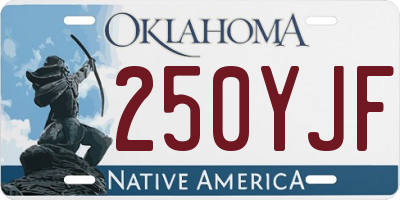 OK license plate 250YJF