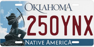 OK license plate 250YNX