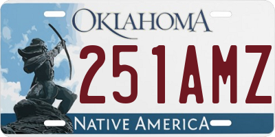 OK license plate 251AMZ