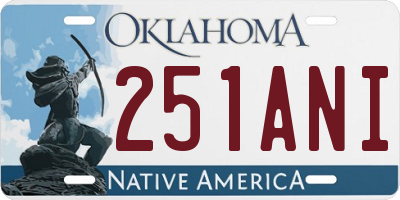 OK license plate 251ANI