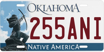 OK license plate 255ANI