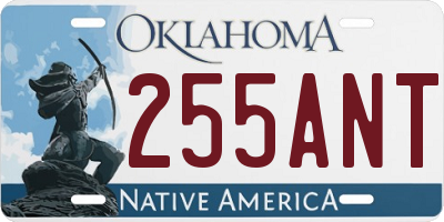 OK license plate 255ANT