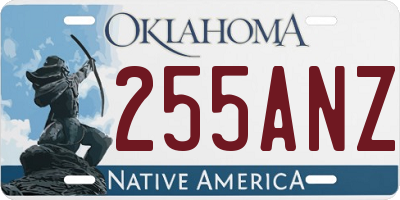 OK license plate 255ANZ