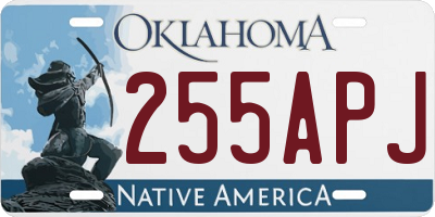 OK license plate 255APJ