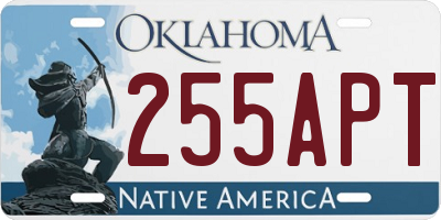 OK license plate 255APT