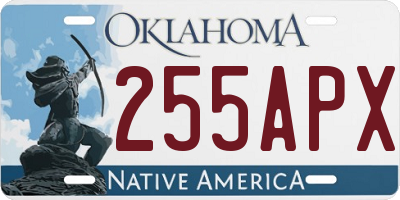 OK license plate 255APX