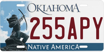 OK license plate 255APY