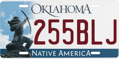 OK license plate 255BLJ