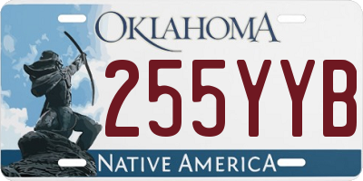 OK license plate 255YYB