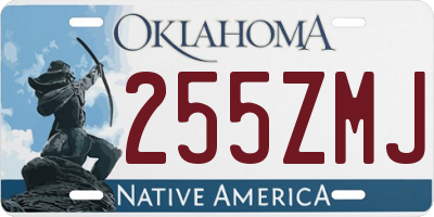 OK license plate 255ZMJ