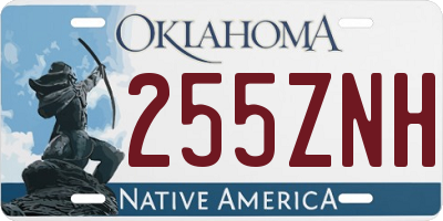 OK license plate 255ZNH