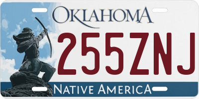 OK license plate 255ZNJ