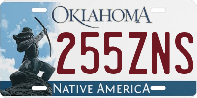 OK license plate 255ZNS