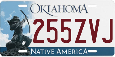 OK license plate 255ZVJ