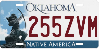 OK license plate 255ZVM