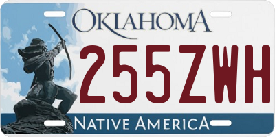 OK license plate 255ZWH