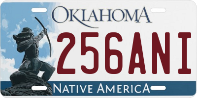 OK license plate 256ANI