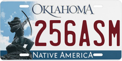 OK license plate 256ASM