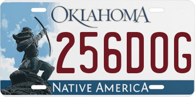 OK license plate 256DOG