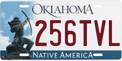 OK license plate 256TVL