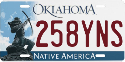 OK license plate 258YNS