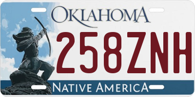 OK license plate 258ZNH