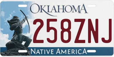 OK license plate 258ZNJ