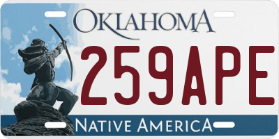 OK license plate 259APE