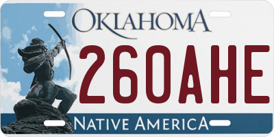 OK license plate 260AHE
