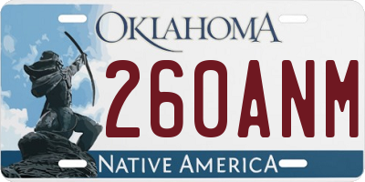 OK license plate 260ANM