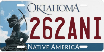 OK license plate 262ANI