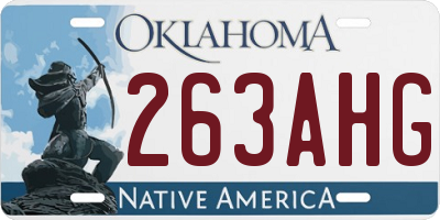 OK license plate 263AHG