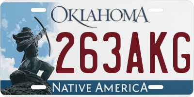 OK license plate 263AKG