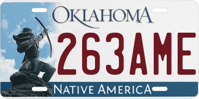 OK license plate 263AME
