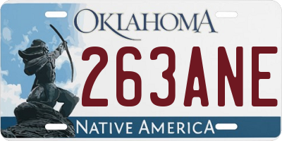 OK license plate 263ANE
